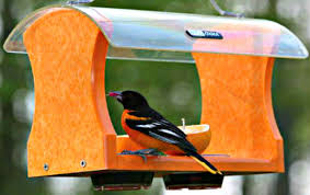 Oriole Feeder image